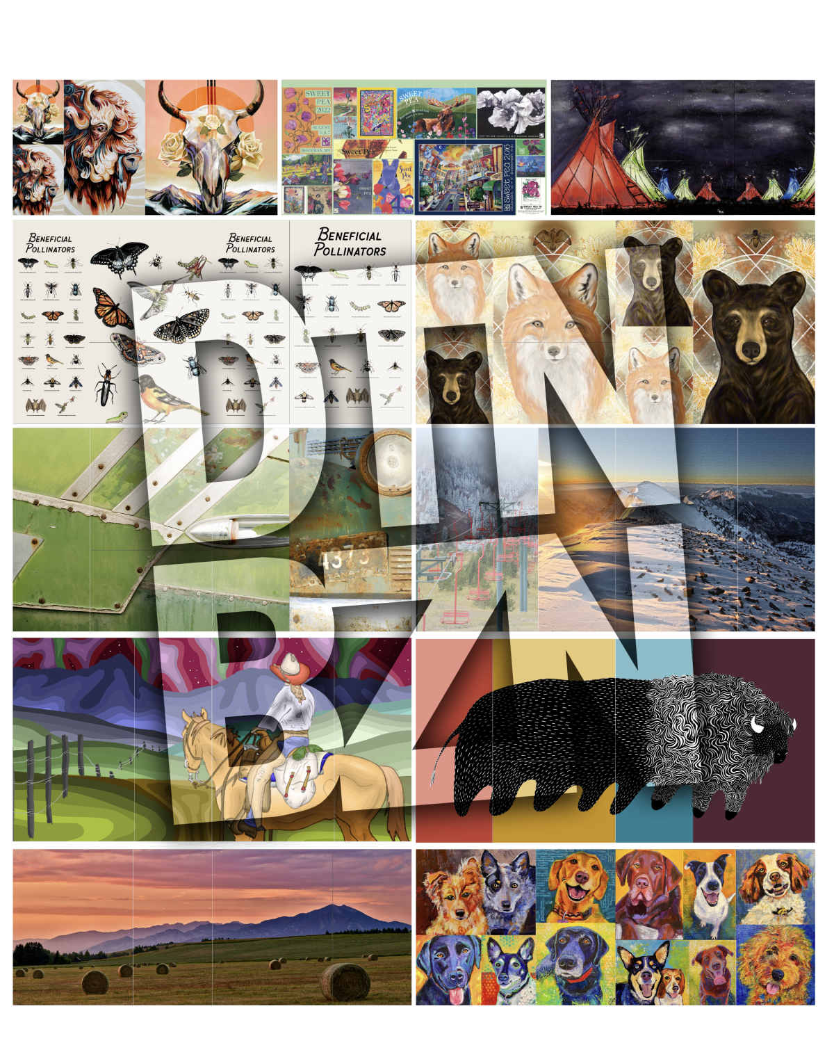 Cabinet Collage1