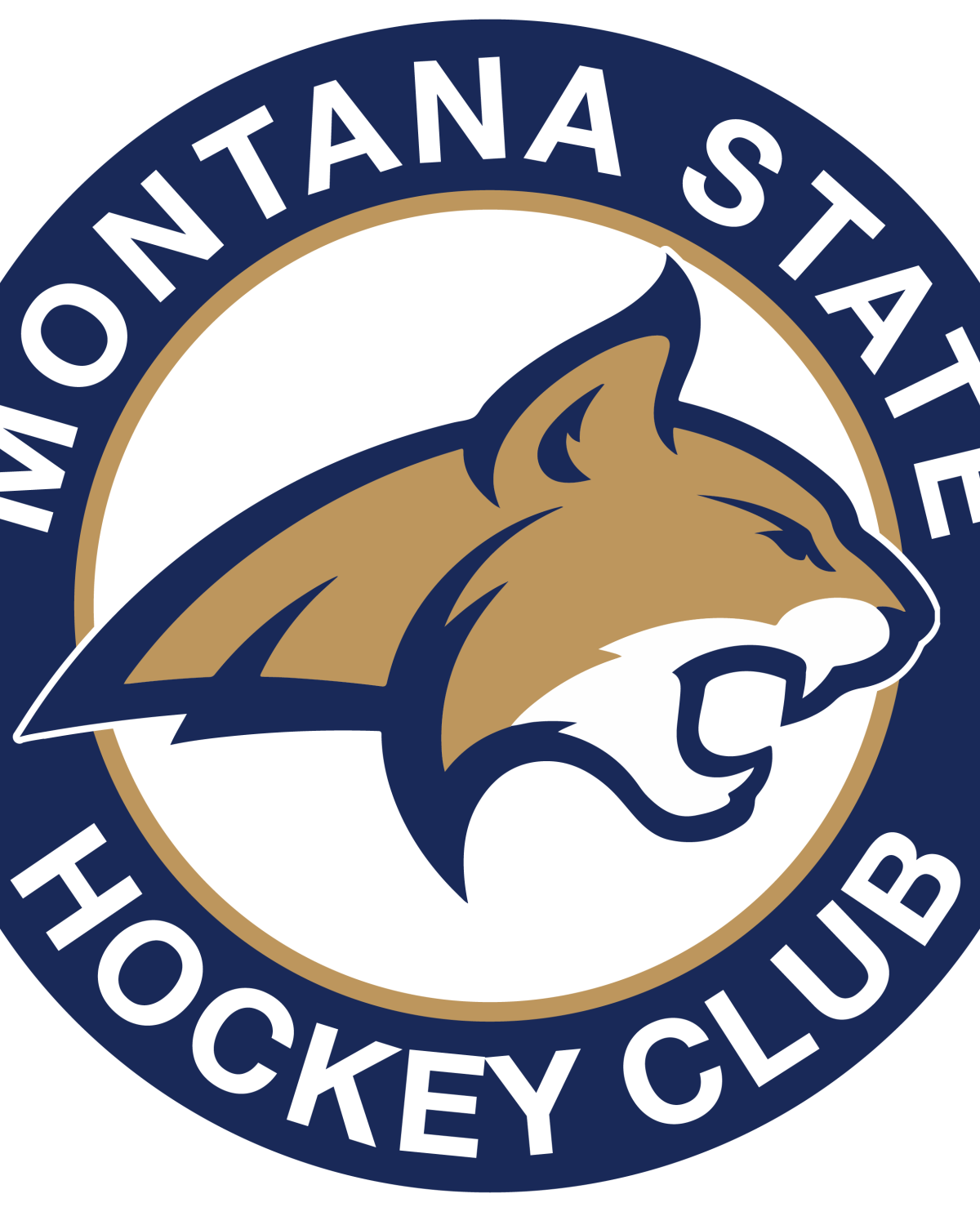 MSU Mens Hockey Club