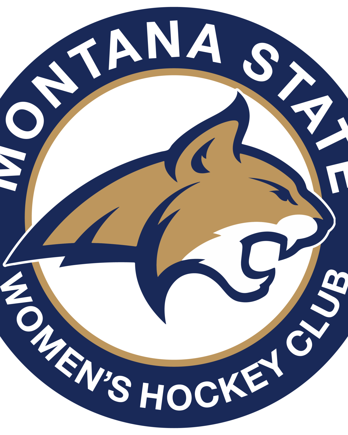 MSU Womens Hockey Club