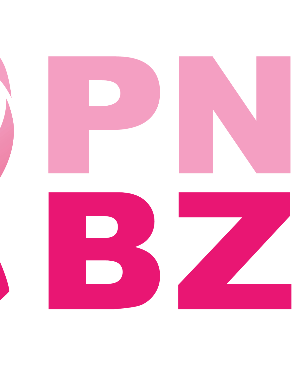 PNK BZN Stacked FINAL 300 2022 09 30 175505 vkkz