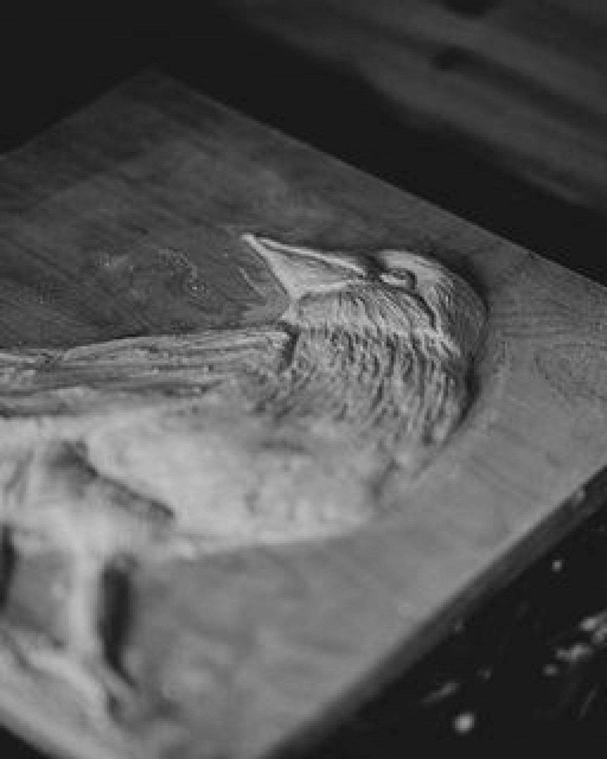 Relief sculpture example in process