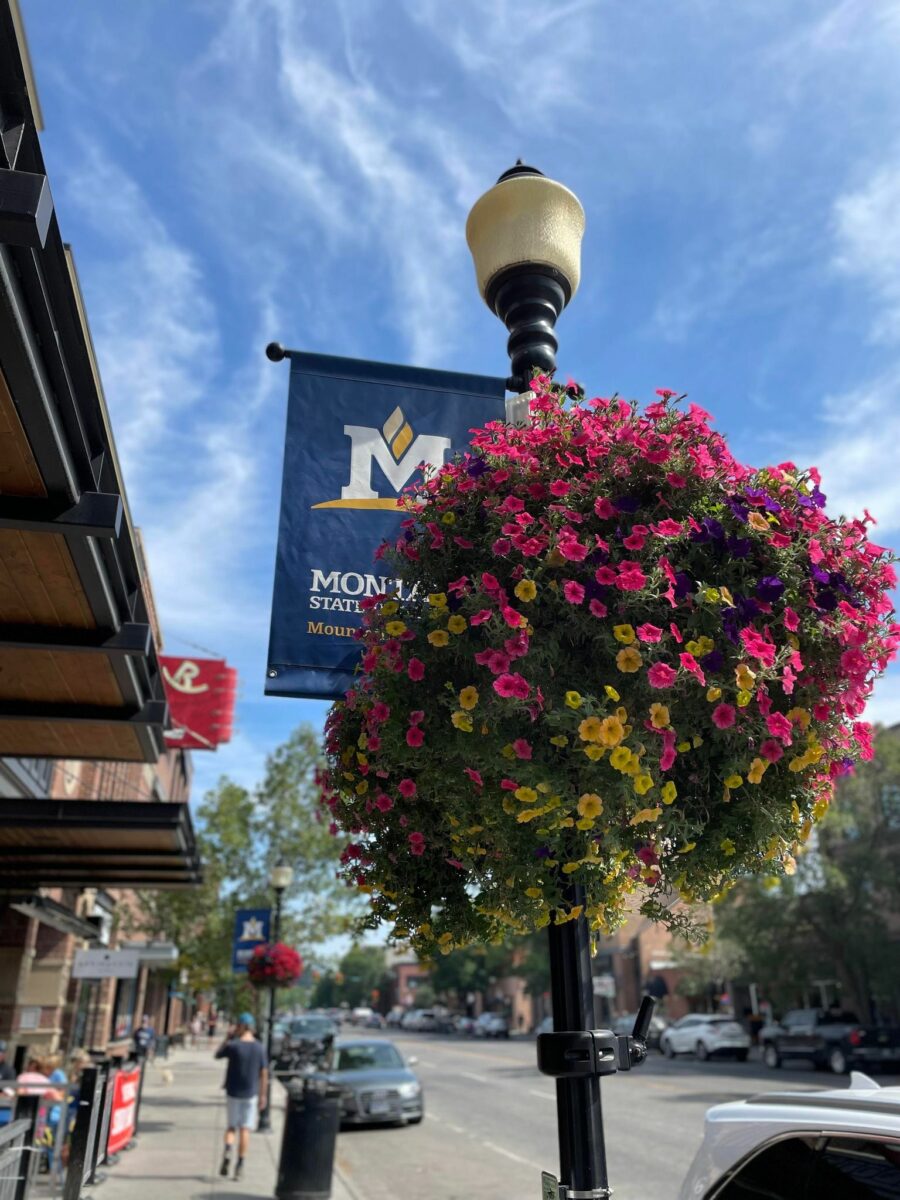 Downtown Bozeman Flower Basket Sponsorship