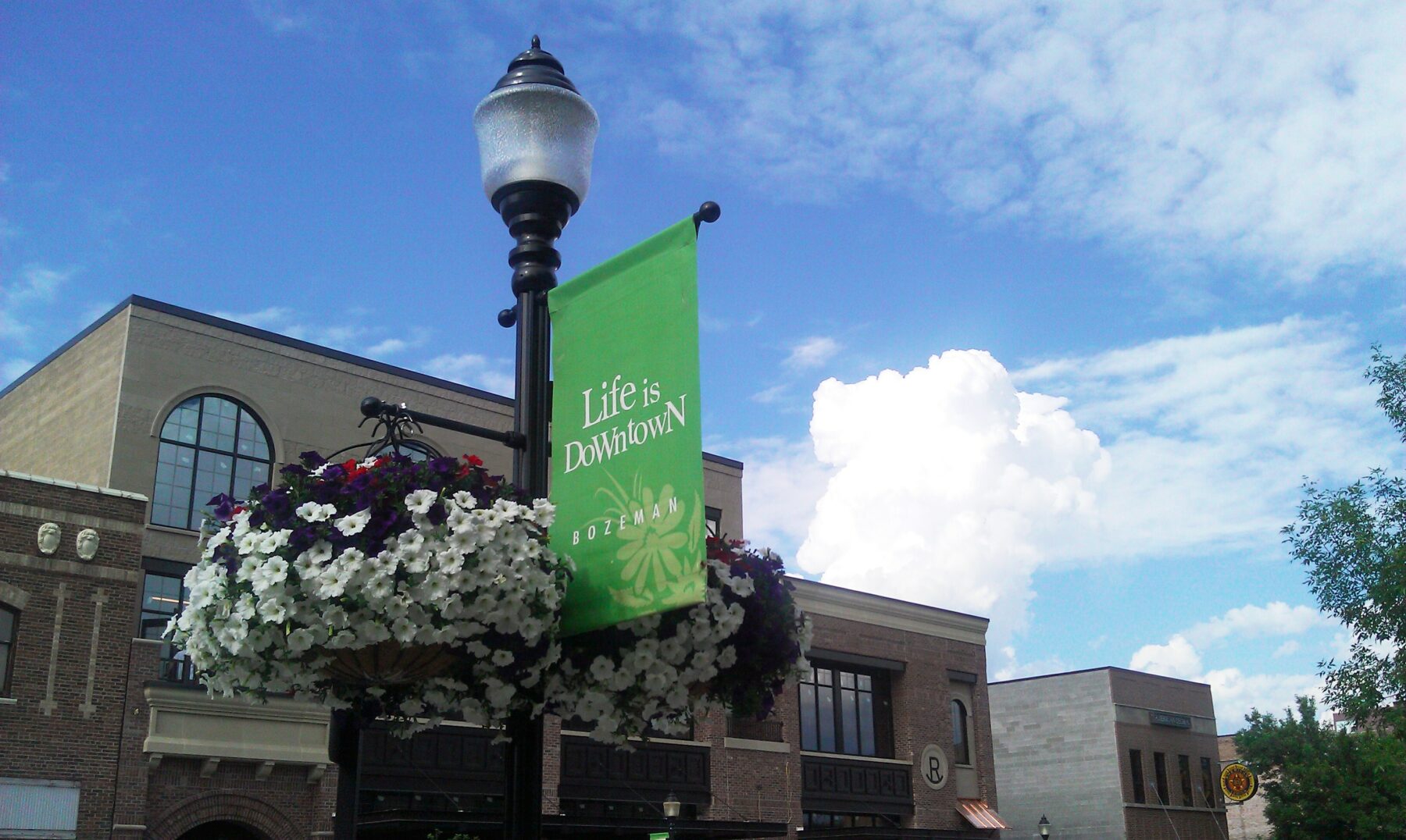 Downtown Bozeman Association: Board Member Application